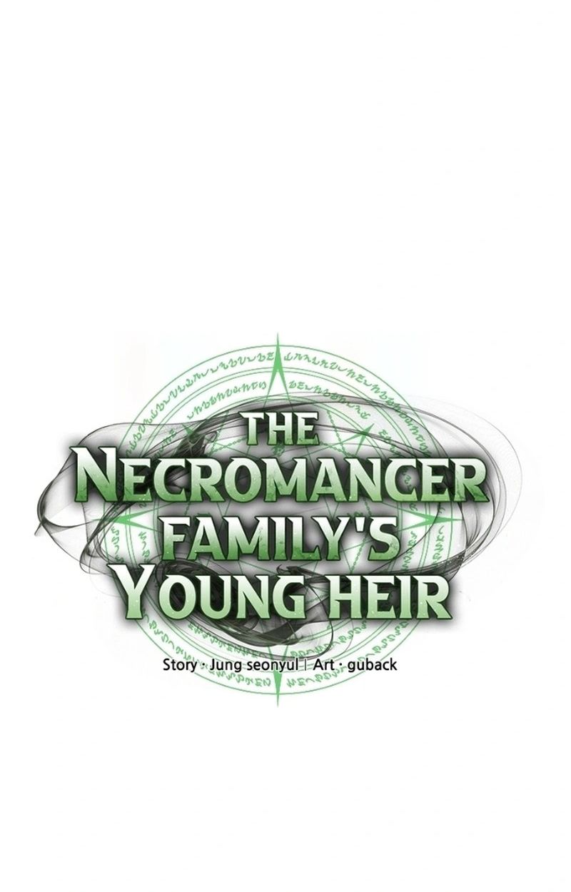 The Necromancer Family’s Young Heir 17 071