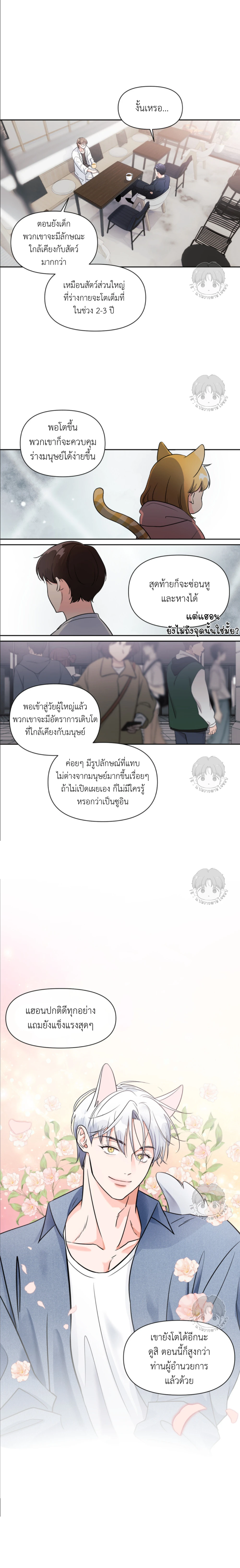 เจ้าหมาป่าผู้น่ารัก 1 (19)