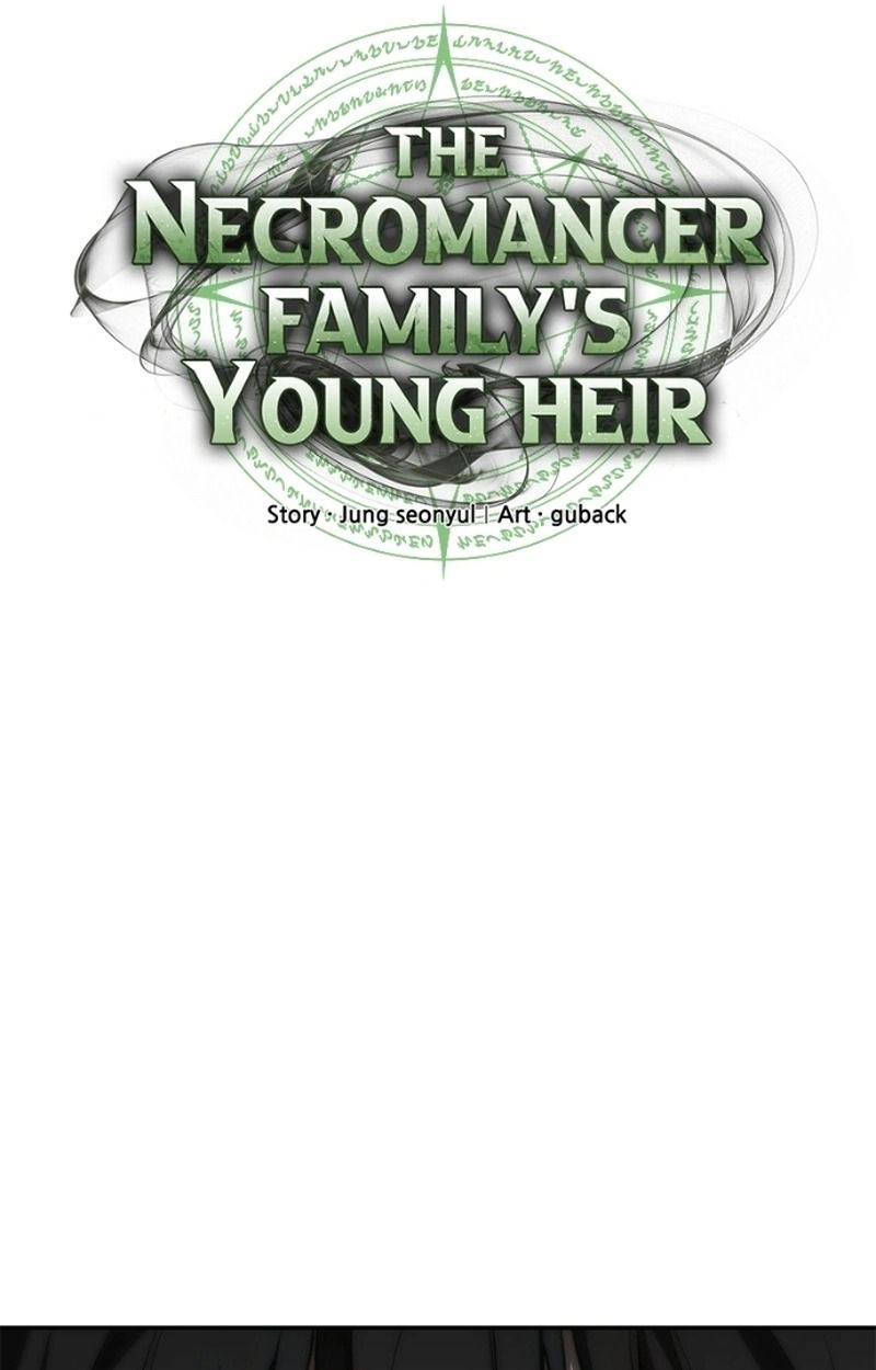 The Necromancer Family’s Young Heir 20 49