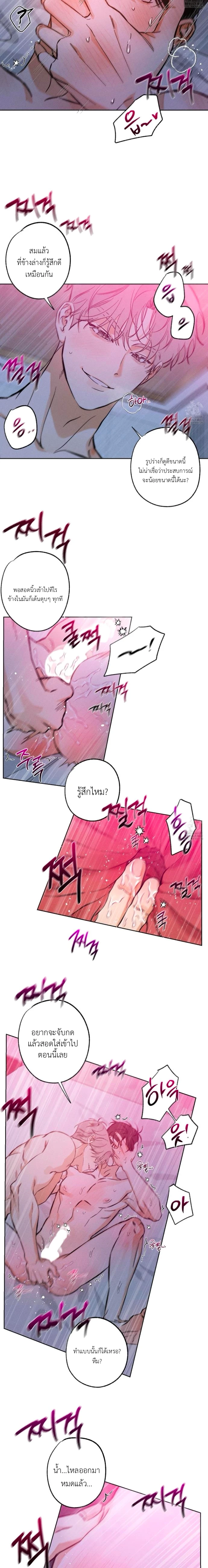 STAGE BEHIND 2 (17)