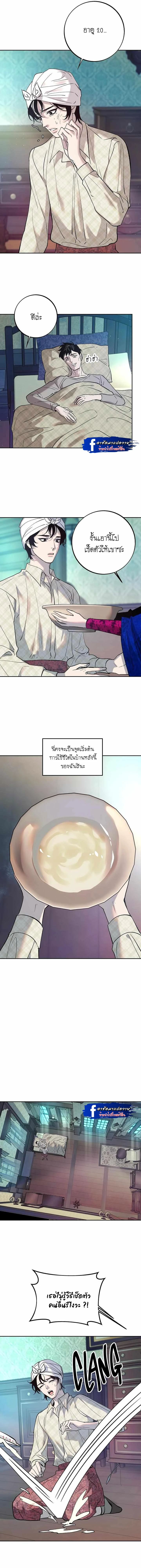 Saha 1 (10)