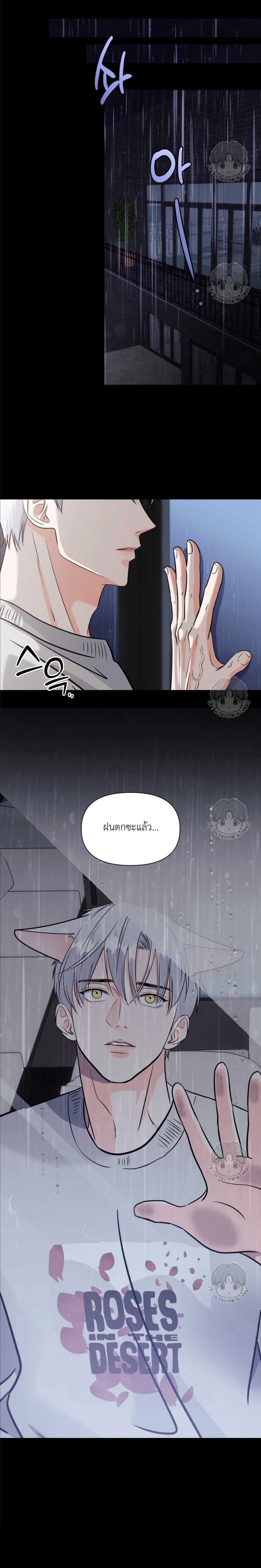 เจ้าหมาป่าผู้น่ารัก 3 (15)