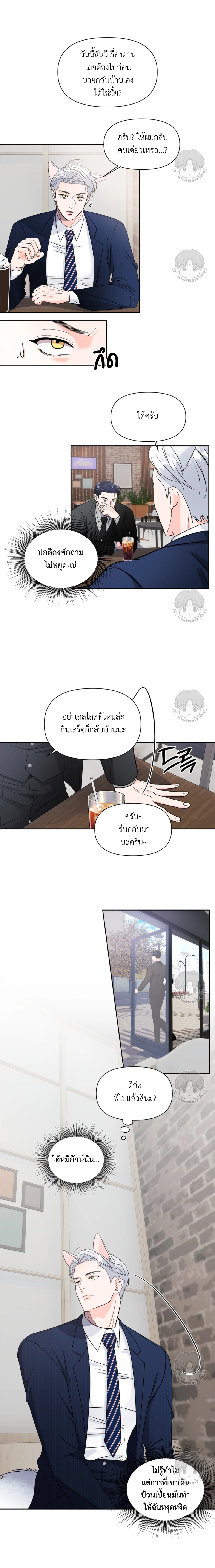 เจ้าหมาป่าผู้น่ารัก 3 (8)