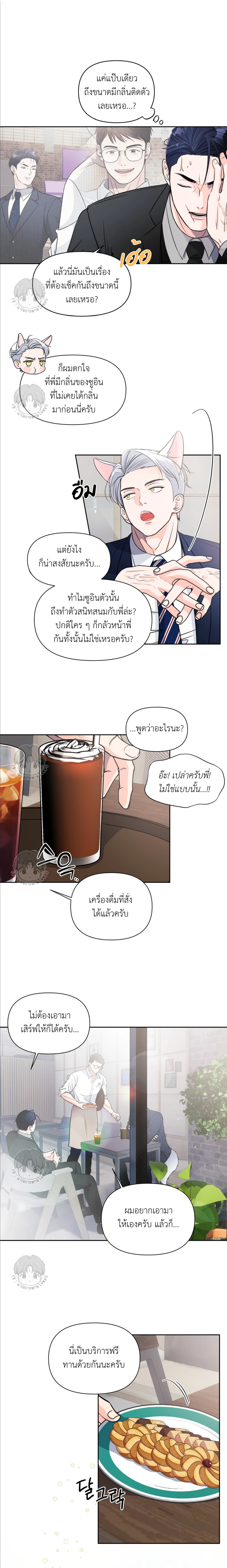 เจ้าหมาป่าผู้น่ารัก 3 (6)
