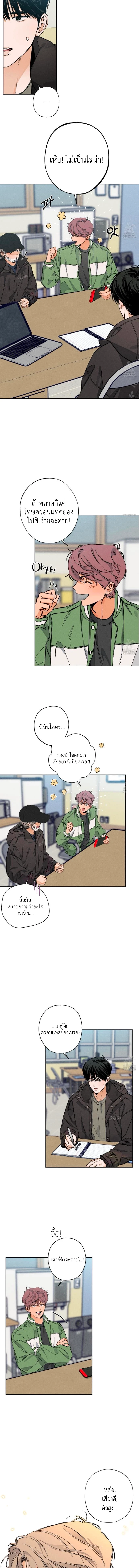 STAGE BEHIND 5 (10)