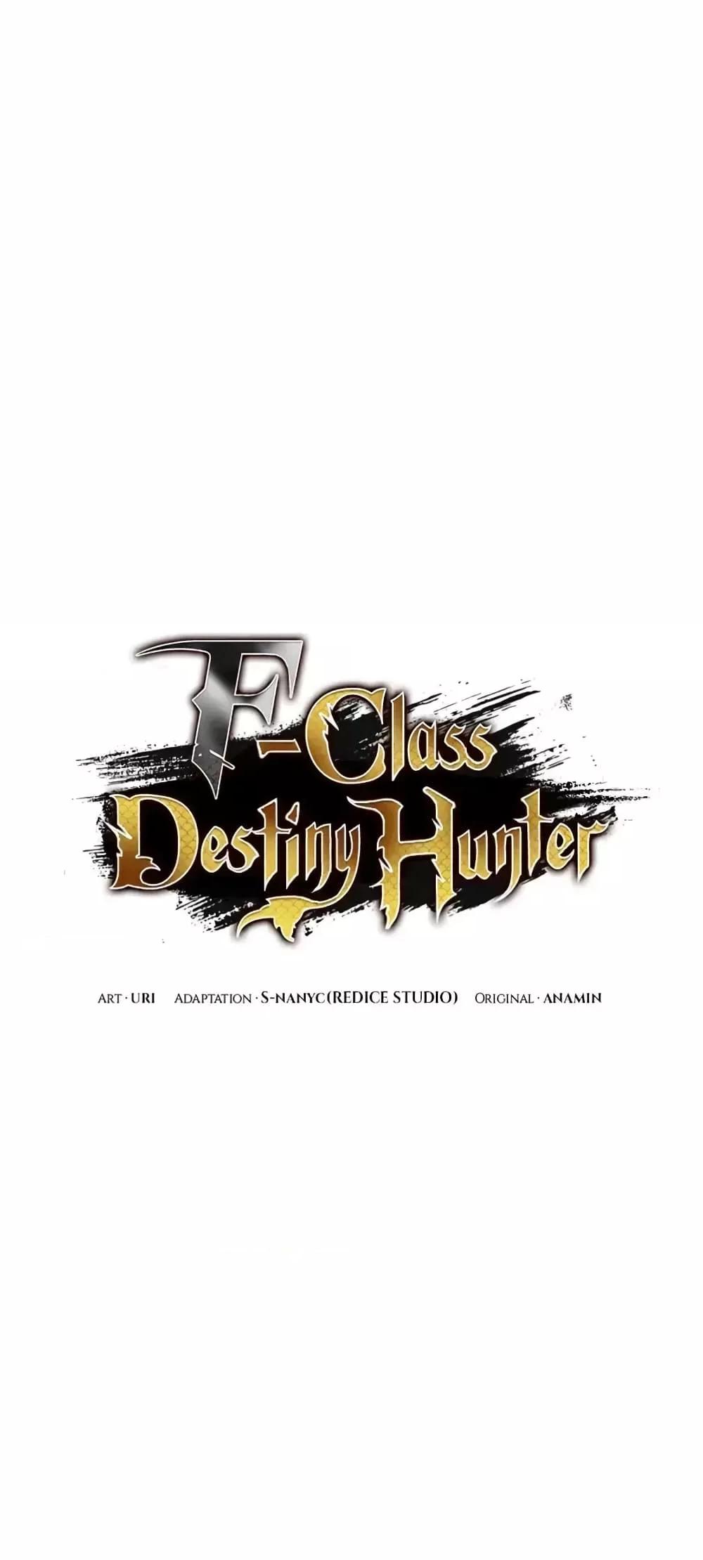 F Class Destiny Hunter 71 (16)