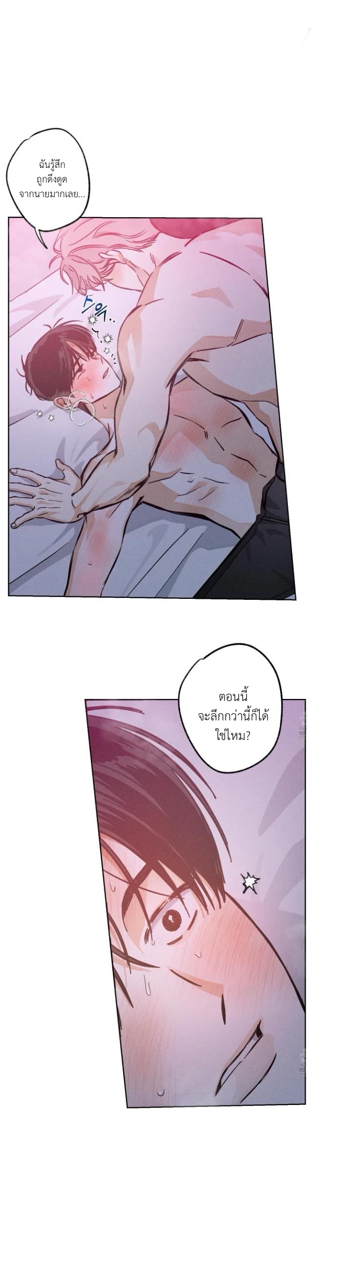 STAGE BEHIND 2 (20)