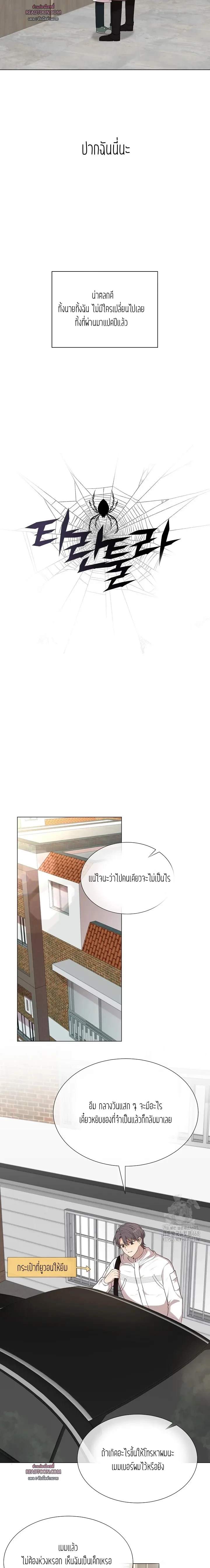 Tarantula 3 (5)