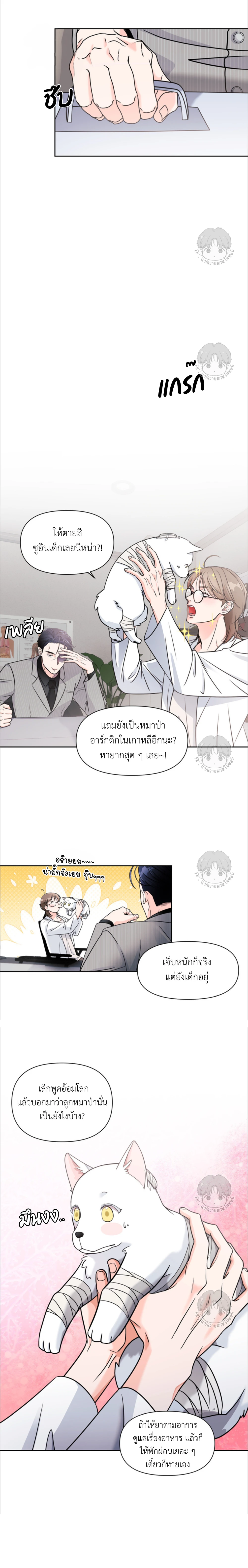เจ้าหมาป่าผู้น่ารัก 1 (14)