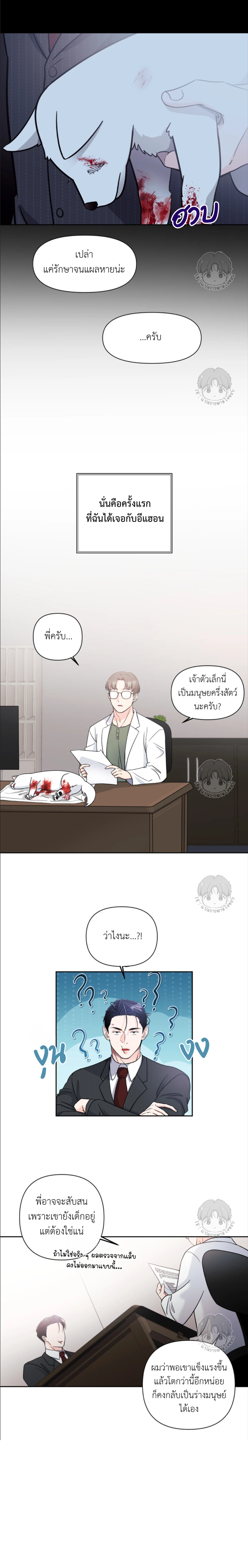 เจ้าหมาป่าผู้น่ารัก 1 (11)
