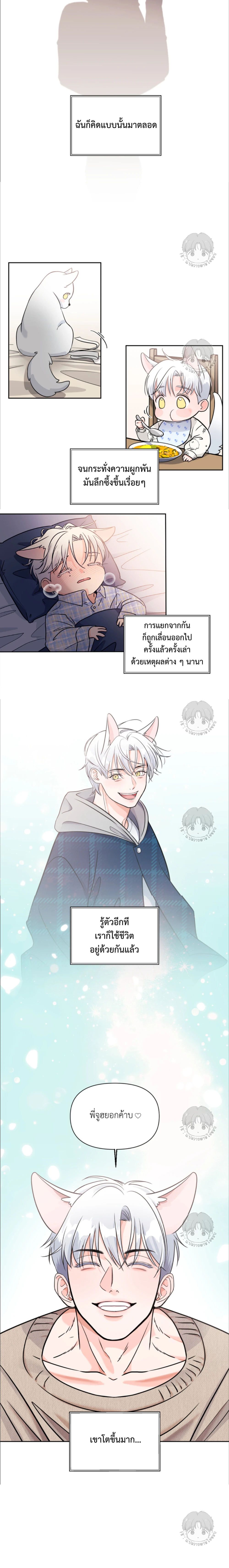 เจ้าหมาป่าผู้น่ารัก 1 (17)