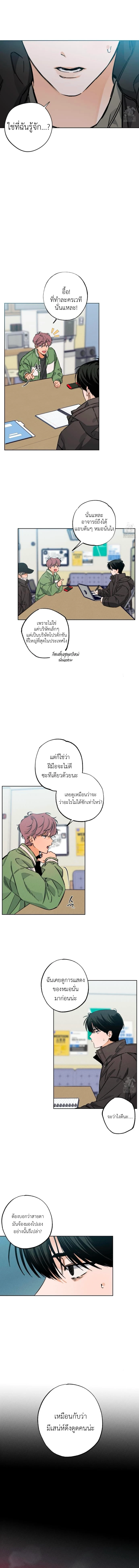 STAGE BEHIND 5 (13)