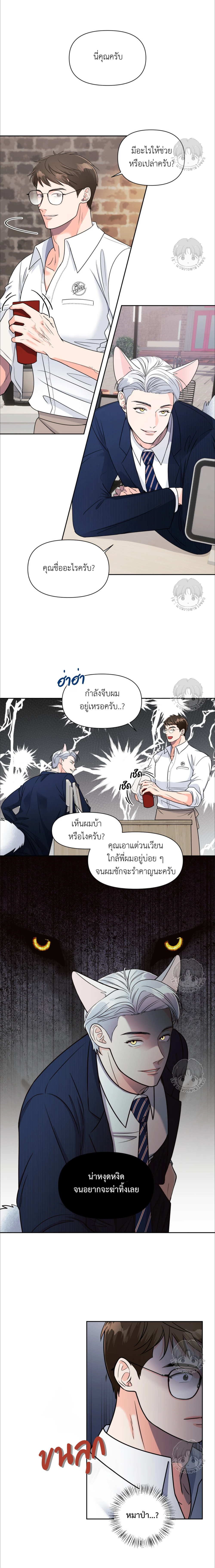 เจ้าหมาป่าผู้น่ารัก 3 (9)
