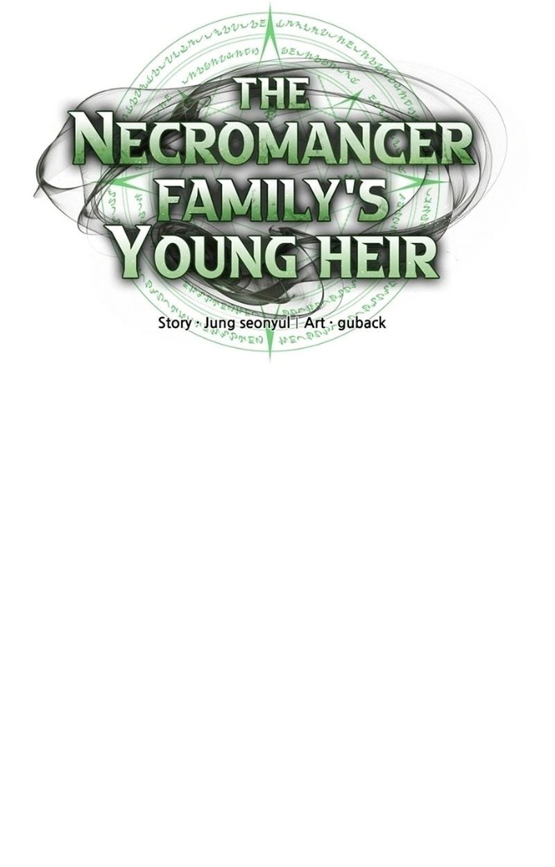 The Necromancer Family’s Young Heir 15 19