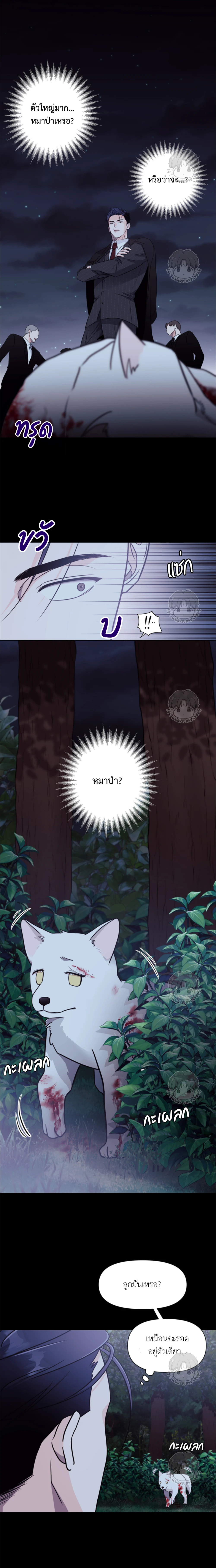 เจ้าหมาป่าผู้น่ารัก 1 (8)
