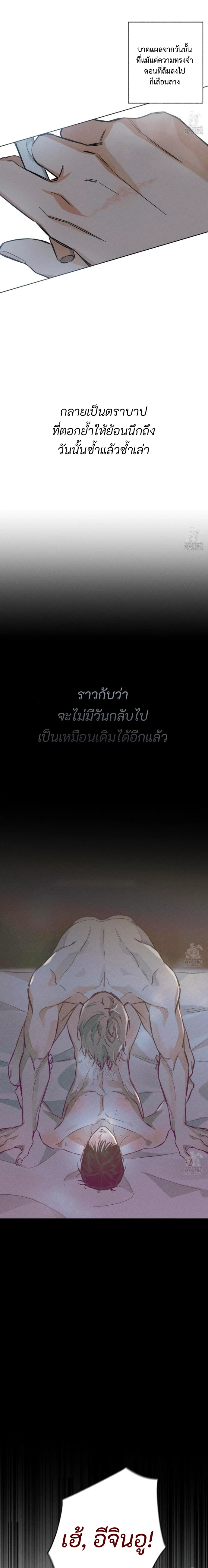 STAGE BEHIND 4 (20)